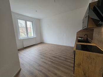 Pronájem bytu 2+1 v osobním vlastnictví 65 m², Teplice