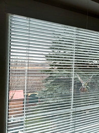 Pronájem domu 90 m², Květnice