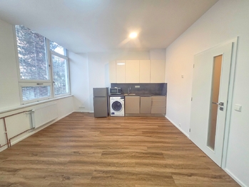 Pronájem bytu 1+kk v osobním vlastnictví 31 m², České Budějovice