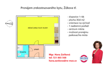 Pronájem bytu 1+kk v osobním vlastnictví 31 m², České Budějovice