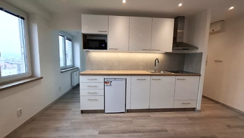 Pronájem bytu 1+1 v osobním vlastnictví 30 m², Ostrava