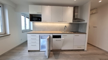 Pronájem bytu 1+1 v osobním vlastnictví 30 m², Ostrava