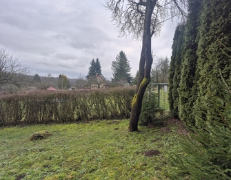 Prodej chaty / chalupy 30 m², Lanškroun