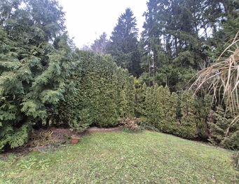 Prodej chaty / chalupy 30 m², Lanškroun