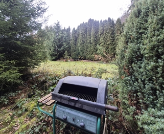 Prodej chaty / chalupy 30 m², Lanškroun