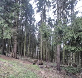 Prodej chaty / chalupy 30 m², Lanškroun