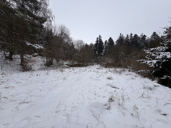 Prodej pozemku 3780 m², Rozstání