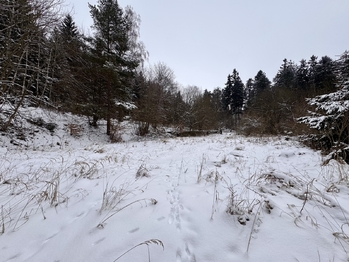 Prodej pozemku 3780 m², Rozstání