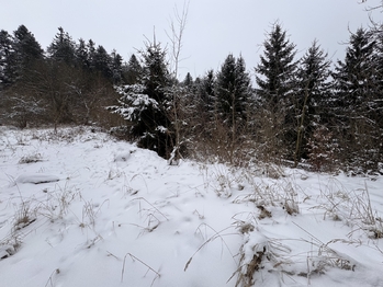 Prodej pozemku 3780 m², Rozstání