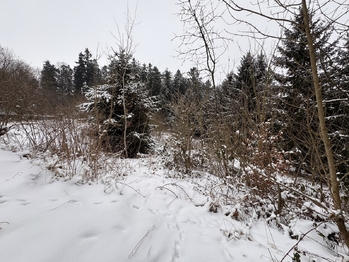 Prodej pozemku 3780 m², Rozstání