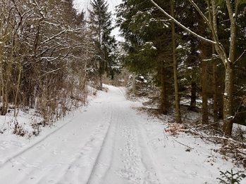 Prodej pozemku 3780 m², Rozstání