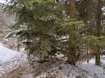 Prodej pozemku 3780 m², Rozstání