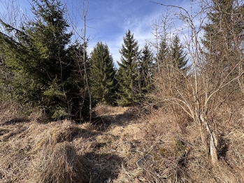 Prodej pozemku 3780 m², Rozstání