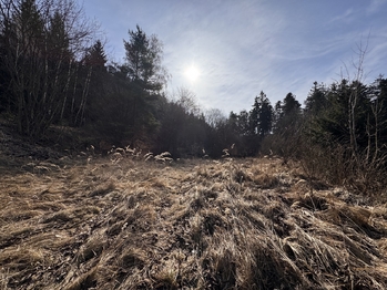 Prodej pozemku 3780 m², Rozstání