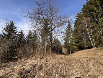 Prodej pozemku 3780 m², Rozstání