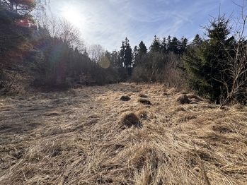 Prodej pozemku 3780 m², Rozstání