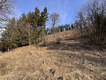 Prodej pozemku 3780 m², Rozstání