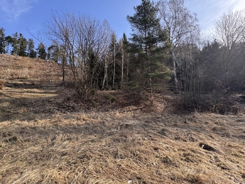 Prodej pozemku 3780 m², Rozstání