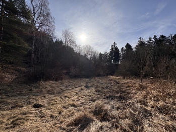 Prodej pozemku 3780 m², Rozstání