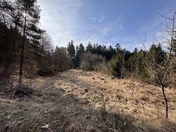 Prodej pozemku 3780 m², Rozstání
