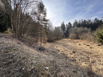 Prodej pozemku 3780 m², Rozstání