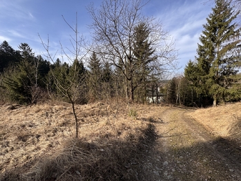 Prodej pozemku 3780 m², Rozstání
