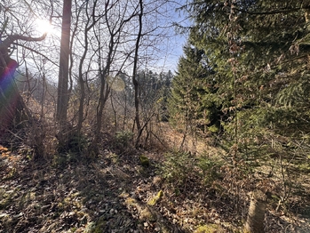 Prodej pozemku 3780 m², Rozstání