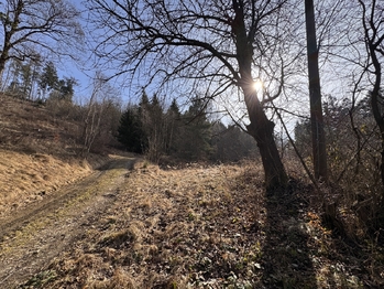 Prodej pozemku 3780 m², Rozstání