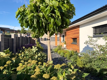 Prodej domu 172 m², Jemnice