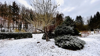 Zahrada - Prodej chaty / chalupy 40 m², Jílové u Prahy