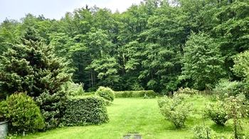 Zahrada - Prodej chaty / chalupy 40 m², Jílové u Prahy