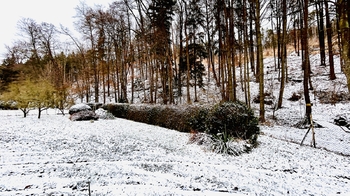 Zahrada - Prodej chaty / chalupy 40 m², Jílové u Prahy