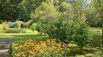 Zahrada - Prodej chaty / chalupy 40 m², Jílové u Prahy