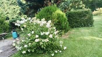 Zahrada - Prodej chaty / chalupy 40 m², Jílové u Prahy