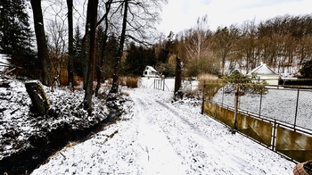 Příjezdová cesta - Prodej chaty / chalupy 40 m², Jílové u Prahy