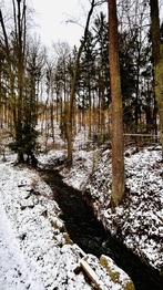 Okolí - Prodej chaty / chalupy 40 m², Jílové u Prahy