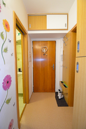 Prodej bytu 1+1 v osobním vlastnictví 32 m², Olomouc