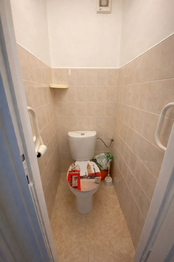 Pronájem bytu 3+1 v osobním vlastnictví 80 m², Praha 10 - Vršovice