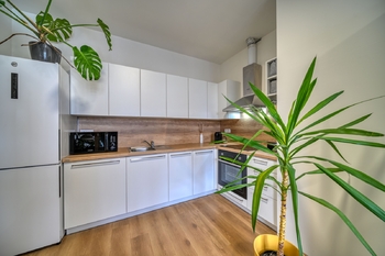 Pronájem bytu 2+kk v osobním vlastnictví 38 m², Kolín