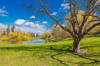 Prodej bytu 2+kk v osobním vlastnictví 99 m², Praha 6 - Břevnov