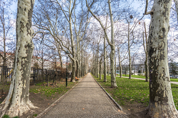 Prodej bytu 3+kk v družstevním vlastnictví 68 m², Praha 7 - Holešovice