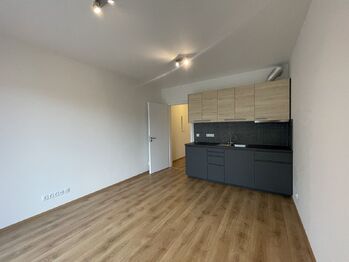 Pronájem bytu 1+kk v osobním vlastnictví 29 m², Tuchoměřice
