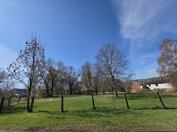 Prodej pozemku 1466 m², Světlá Hora