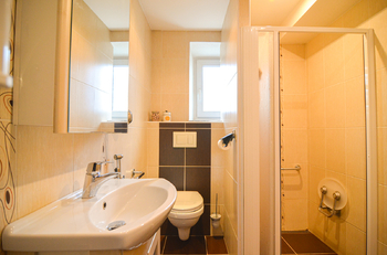 koupelna - Prodej bytu 3+1 v osobním vlastnictví 293 m², Břeclav