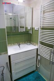 Pronájem bytu 1+1 v osobním vlastnictví 34 m², Praha 7 - Holešovice