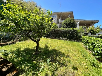 vstup na zahradu z obývacího pokoje  - Prodej bytu 3+1 v osobním vlastnictví 85 m², Ortona