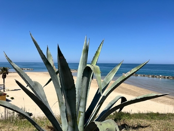 Prodej bytu 3+1 v osobním vlastnictví 85 m², Ortona