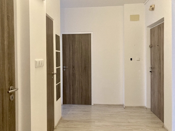 Pronájem bytu 2+1 v osobním vlastnictví 54 m², Chomutov
