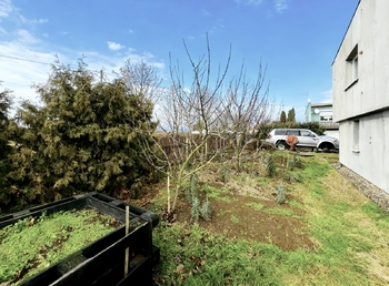 Prodej domu 157 m², Hrušovany