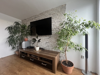 Prodej domu 157 m², Hrušovany